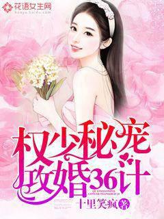 Quan Shao's Secret Favorite: 36 Strategies for Attacking Marriage